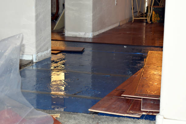 Professional Basement Flood Cleanup technician working in Flemington, GA